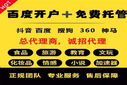 成功SEM推广代运营案例展示